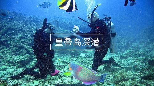 全民烧脑3去广告版