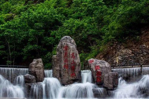 逃离仿真森林